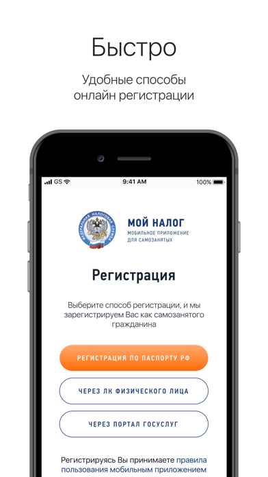Скриншот Мой налог 2